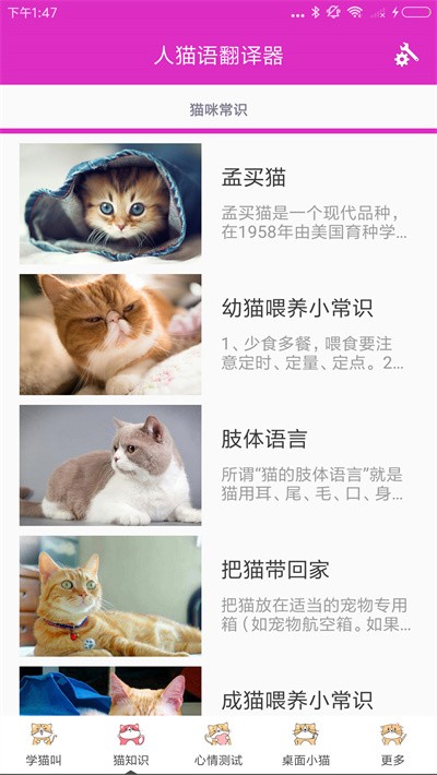 人猫语翻译器