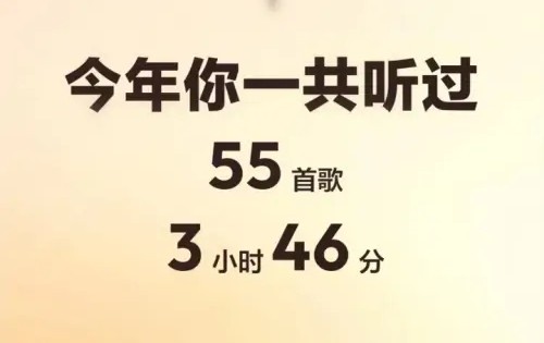 网易云音乐年度报告2022怎么看 2022年度听歌报告查看方法