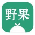 野果阅读小说app