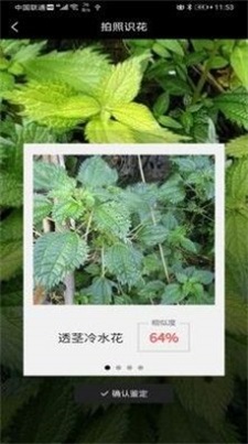 植物识花神器