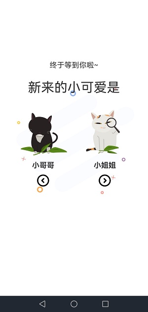 喵上无染二次元