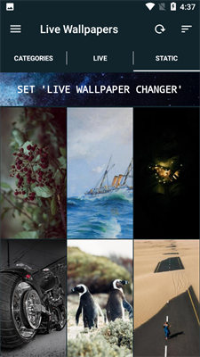 Live Wallpapers