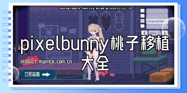 pixelbunny