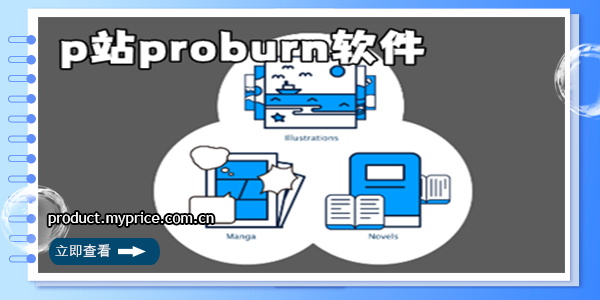 p站proburn软件