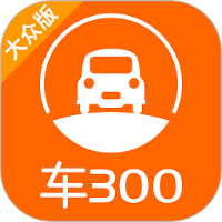 车300二手车