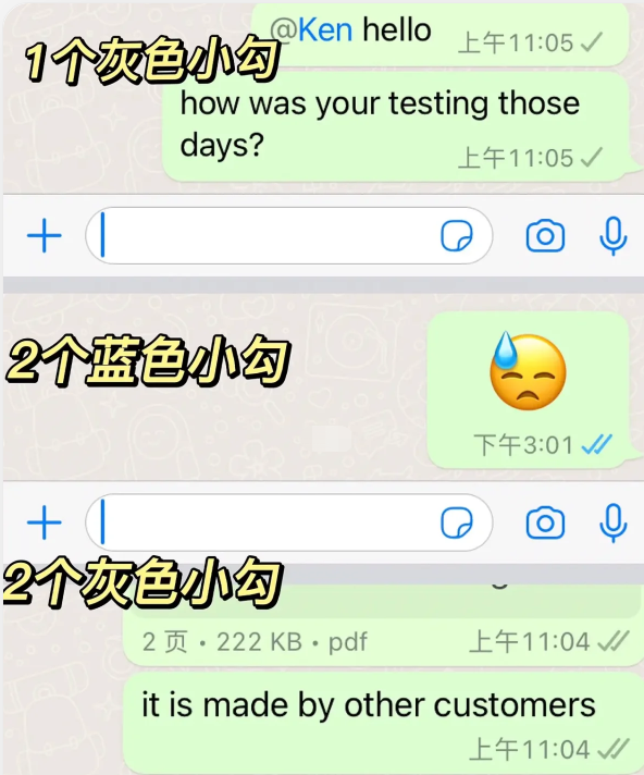 whatsapp免登录