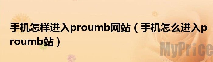 proumb官网链接网站入口 proumb官方网址进入2024最全地址