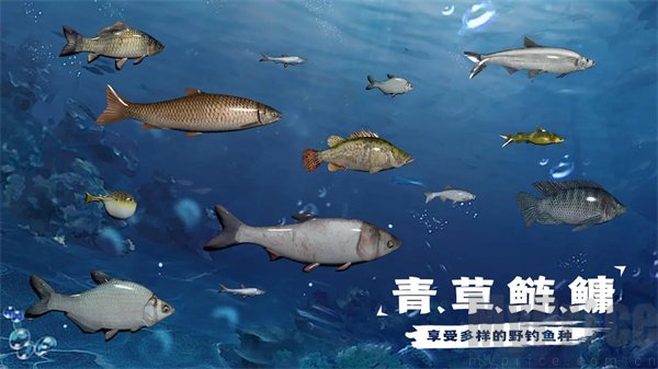 天天钓鱼水族馆收入提升攻略 水族馆鱼收入计算方法