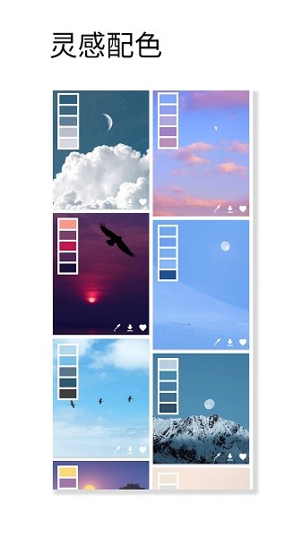 观色配色app