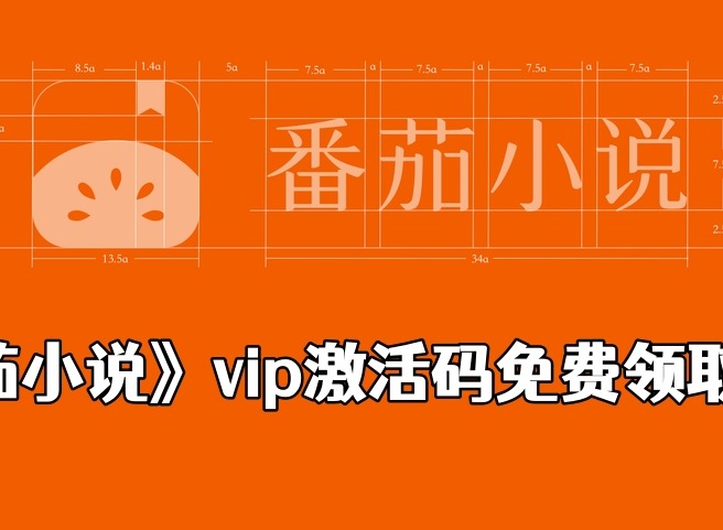 番茄小说vip激活码在哪里领取 番茄小说vip激活码免费领取2024大全