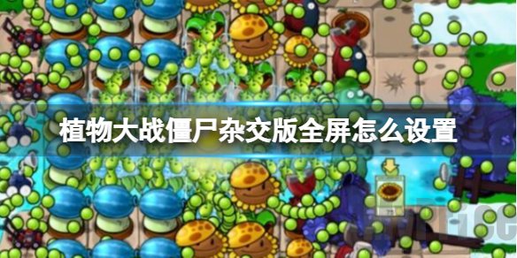 植物大战僵尸杂交版如何设置全屏 全屏攻略介绍