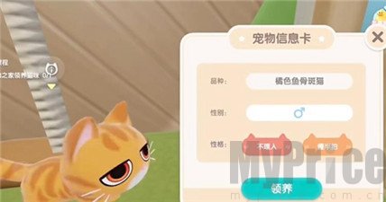 心动小镇怎么养猫 心动小镇养猫攻略