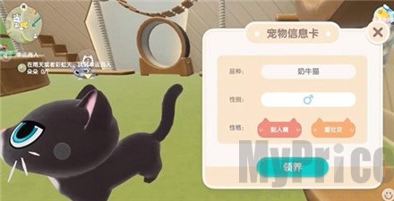 心动小镇怎么养猫 心动小镇养猫攻略