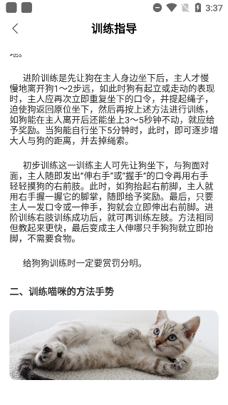 动物翻译器中文版