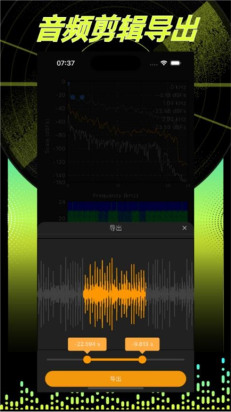 音频分析师