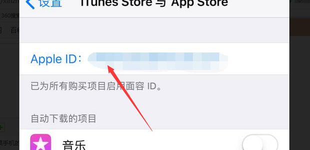 app store软件