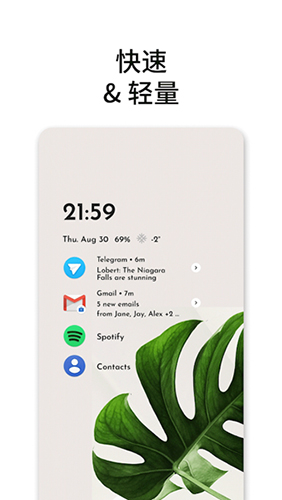 niagara launcher pro