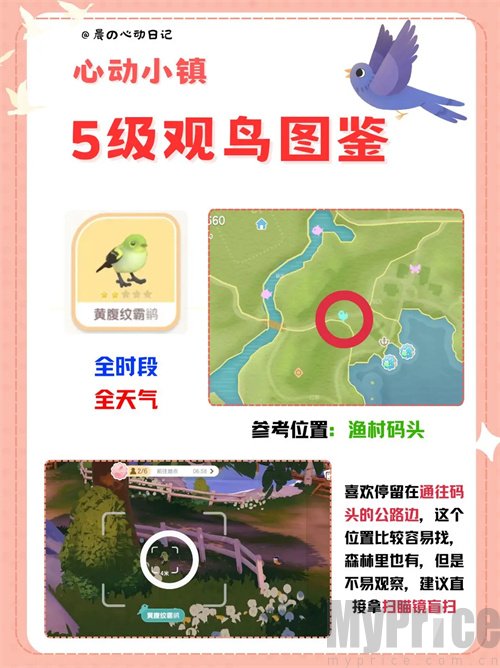 心动小镇五级观鸟位置在哪 心动小镇五级观鸟详细位置介绍攻略