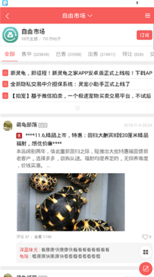 灵龟之家论坛自由市场