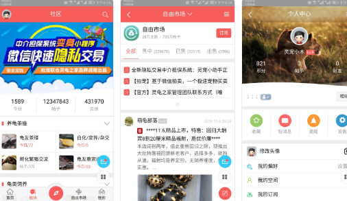 灵龟之家论坛自由市场