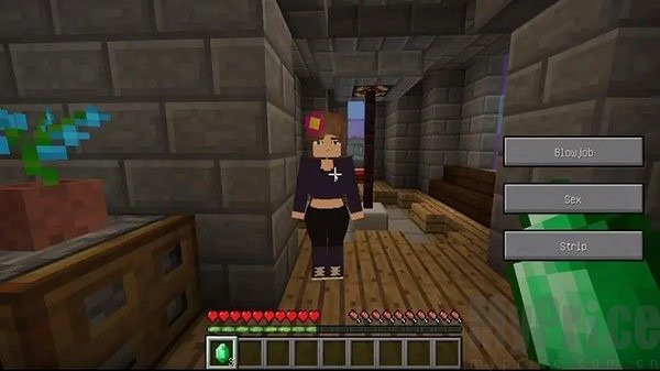 珍妮冒险创建地图