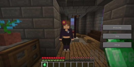 珍妮冒险6.0运行客户端