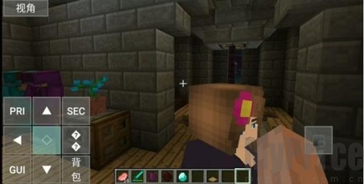 珍妮冒险6.0创建新世界