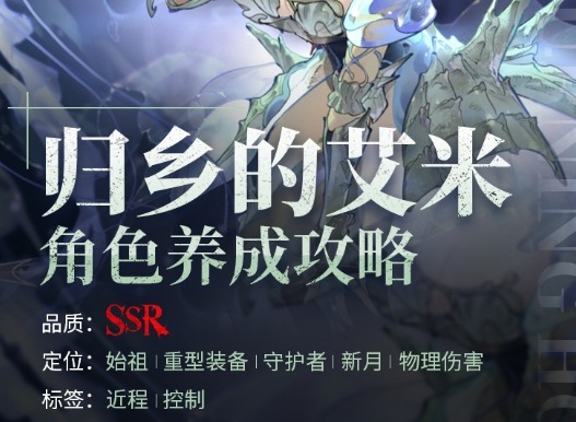 银与绯归乡的艾米角色养成攻略