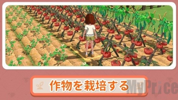 小森生活日服