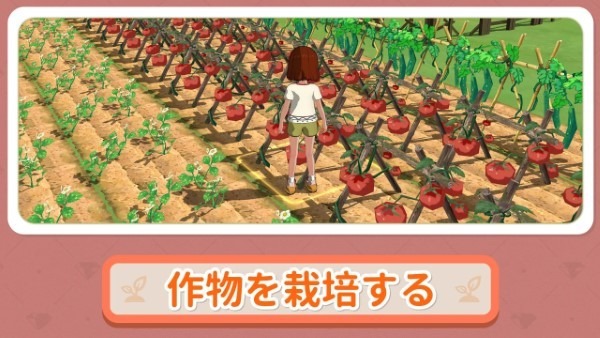 小森生活日服