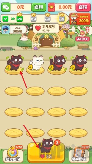 筑梦猫舍