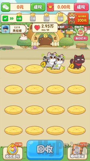 筑梦猫舍