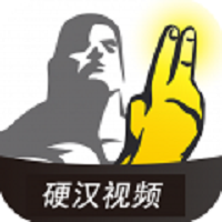 硬汉视频在线观看