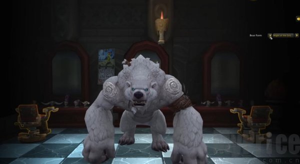 星光猫外观解锁方式有哪些 星光猫外观怎么解锁