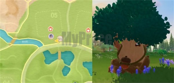 心动小镇11.7溜溜橡木与无瑕萤石位置