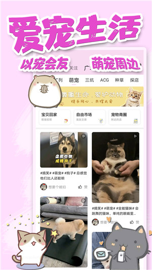 饭团萌安卓版v5.4.0截图1