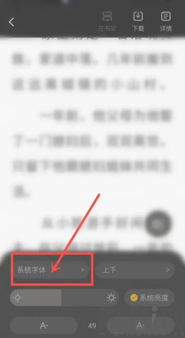 布袋鼠小说免费阅读