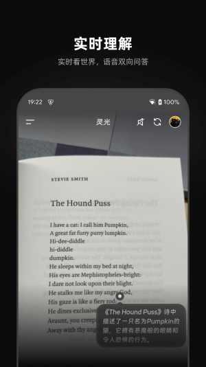 灵光ai最新版本v1.0.36.8000截图4
