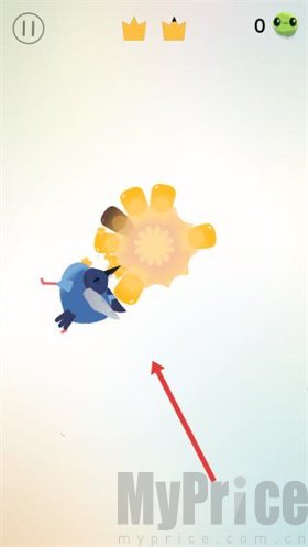 疯狂的鸽子全皮肤版