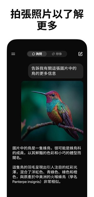 grok 4.1手机版v1.0.7截图4