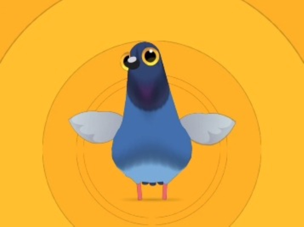 pigeon疯狂的鸽子