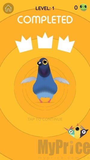 疯狂的鸽子pigeonpop