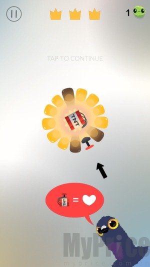 疯狂的鸽子pigeonpop