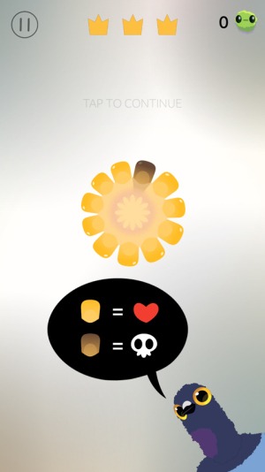 疯狂的鸽子pigeonpop