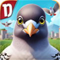 pigeon games