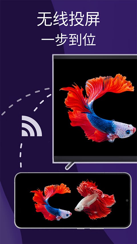 雨燕投屏免费版