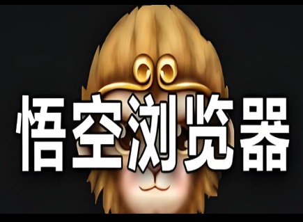 悟空浏览器网页版入口 悟空浏览器入口官网登录