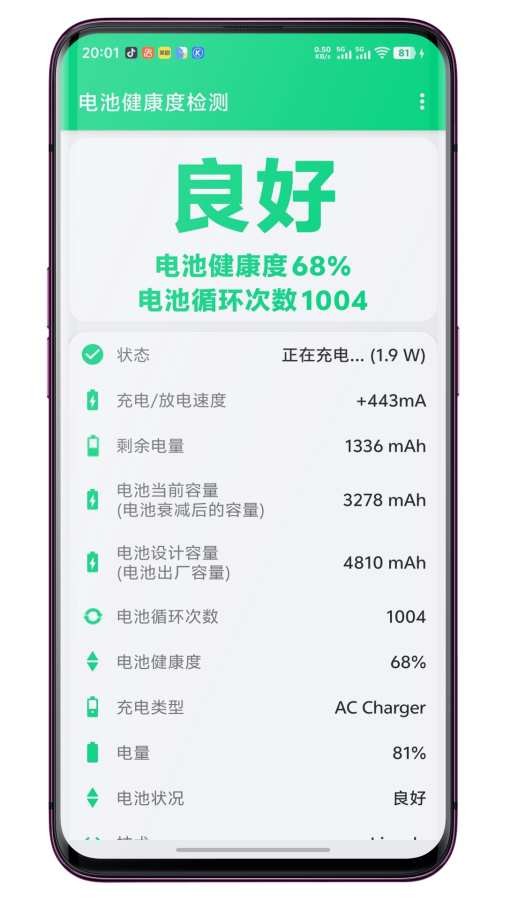 电池健康度检测
