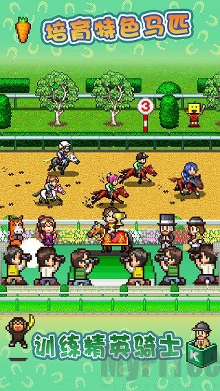 开罗赛马牧场物语汉化版