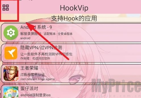 HookVip模块
